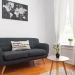 Rent 1 bedroom apartment in New York