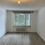 Rent 1 bedroom apartment in Žďár nad Sázavou