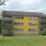 Rent 5 bedroom apartment of 95 m² in Winterthur