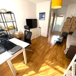 Rent 1 bedroom house in Dublin