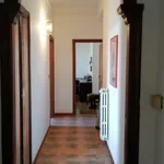 Rent 1 bedroom apartment of 130 m² in Marcellina