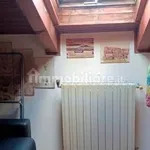 Rent 1 bedroom apartment of 20 m² in Torino