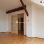 Rent 1 bedroom apartment of 44 m² in České Budějovice