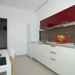 Rent 1 bedroom apartment in Brussels