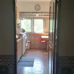 Rent a room of 120 m² in lisbon