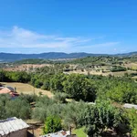 Rent 4 bedroom apartment of 60 m² in Perugia