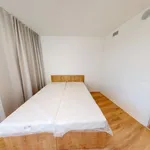 Pronajměte si 3 ložnic/e byt o rozloze 92 m² v Prague