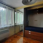 Studio o rozloze 26 m² v Brno