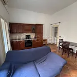 Rent 2 bedroom apartment of 55 m² in Cremona