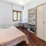 Rent 6 bedroom apartment in Lisbon