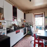 Rent 4 bedroom apartment of 90 m² in Torino