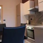 Rent 1 bedroom apartment of 50 m² in Turin