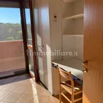 3-room flat via Pasquale Rotondi 14, Urbino