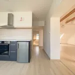 Rent 2 bedroom apartment of 97 m² in Ostrava