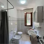 Rent 2 bedroom apartment of 35 m² in Como