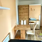 Rent 1 bedroom house in Uherské Hradiště