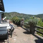 Rent 8 bedroom house of 250 m² in Orbetello