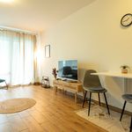 Rent 1 bedroom apartment of 42 m² in Heiligenhaus