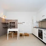 Rent 2 bedroom apartment of 55 m² in Torino