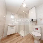 Pronajměte si 1 ložnic/e byt o rozloze 39 m² v Prague