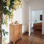 Rent 2 bedroom apartment of 80 m² in berlin