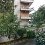 Rent 6 bedroom apartment in Rome