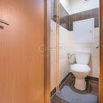 Rent 2 bedroom apartment of 60 m² in Praha