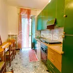 Rent 1 bedroom apartment of 50 m² in Milano