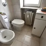 Rent 3 bedroom apartment of 110 m² in Torino