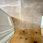 Rent 2 bedroom apartment of 100 m² in Milano