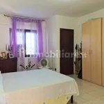 3-room flat via Giuditta Levato, Roccelletta, Borgia