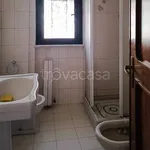 Rent 3 bedroom apartment of 80 m² in Foggia