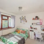 Rent 5 bedroom apartment in Wales