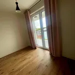 Rent 3 bedroom apartment of 55 m² in Rzeszów