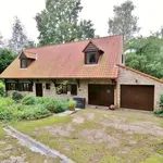 Rent 3 bedroom house of 2591 m² in BEERSEL