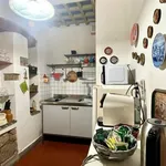 Rent 1 bedroom apartment of 35 m² in Firenze