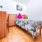 Rent 1 bedroom apartment in Milan