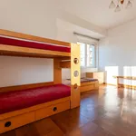 Rent 5 bedroom apartment in Praha 7