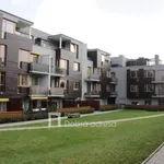 Rent 2 bedroom apartment of 55 m² in Prague