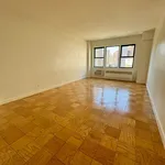 Rent 1 bedroom apartment of 481 m² in Manhattan