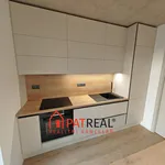 Rent 5 bedroom apartment of 181 m² in Brno