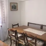 Rent 1 bedroom house of 100 m² in Seravezza