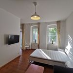 Rent 1 bedroom apartment of 34 m² in Berlin