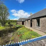 Detached house to rent in Skichenmuir Farmhouse, Near Crombie Park, Angus DD11