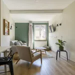 Rent 1 bedroom apartment in Sainte-Foy-lès-Lyon