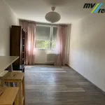 Rent 2 bedroom apartment in Capital City of Prague