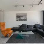 Diabellistraat, Capelle aan den IJssel - Amsterdam Apartments for Rent