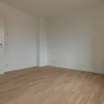 Rent 3 bedroom apartment of 102 m² in Leipzig