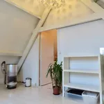 Rent 1 bedroom apartment of 45 m² in Den Haag