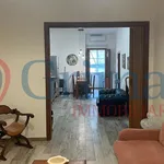 Rent 3 bedroom apartment of 80 m² in Livorno